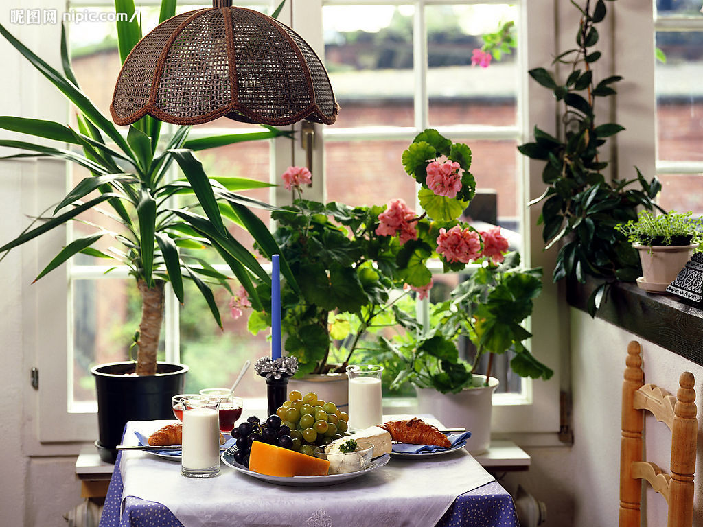 情人节礼物_浪漫满屋